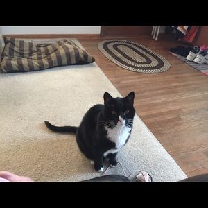 Meet your Posher, Stacy